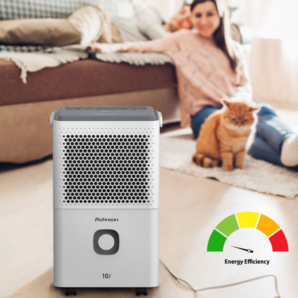 Влагоуловител Rohnson R-91310 True Ion & Air Purifier